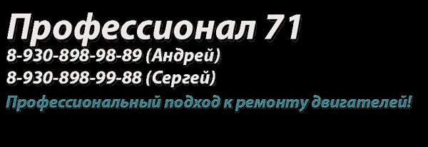 Логотип компании Профессионал 71