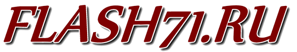 Логотип компании Flash71.ru