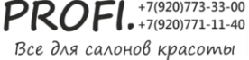 Логотип компании Profi