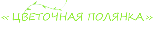 Логотип компании Цветочная полянка