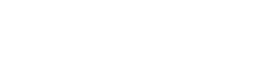 Логотип компании Санто Доминго