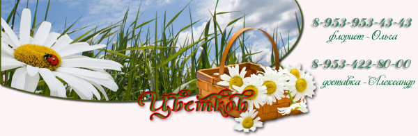 Логотип компании Цветков