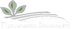 Логотип компании Практика Бухучета