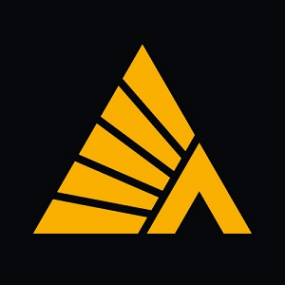 Логотип компании Деловые Линии Тула